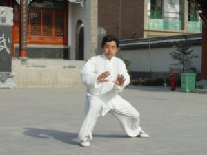 Chen Xiao Xing �Chen Jia Gou Taiji School